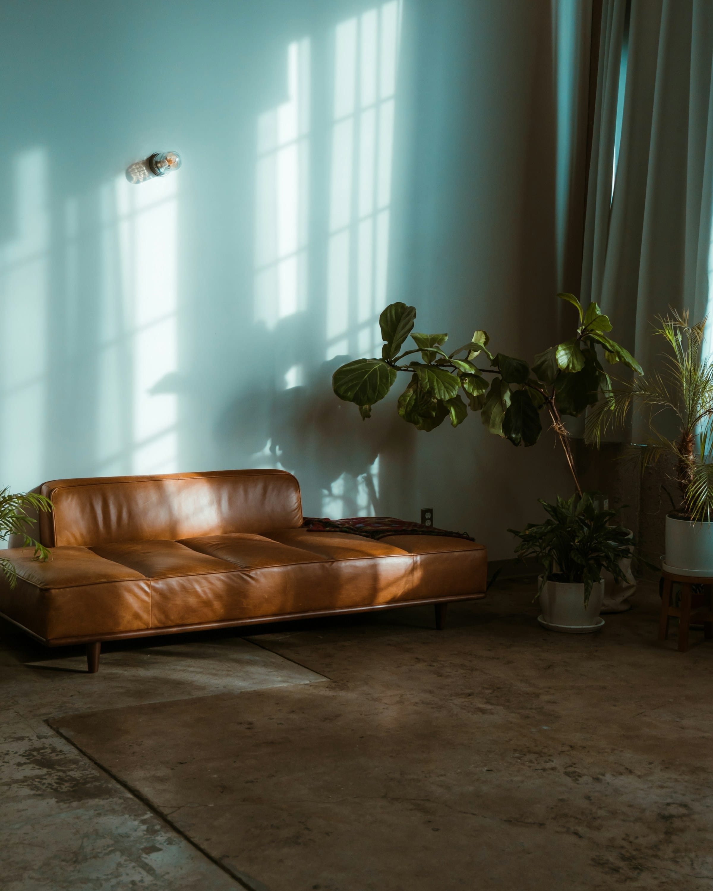 A sunlit living room — cream linen sofa, warm oak floors, morning light.