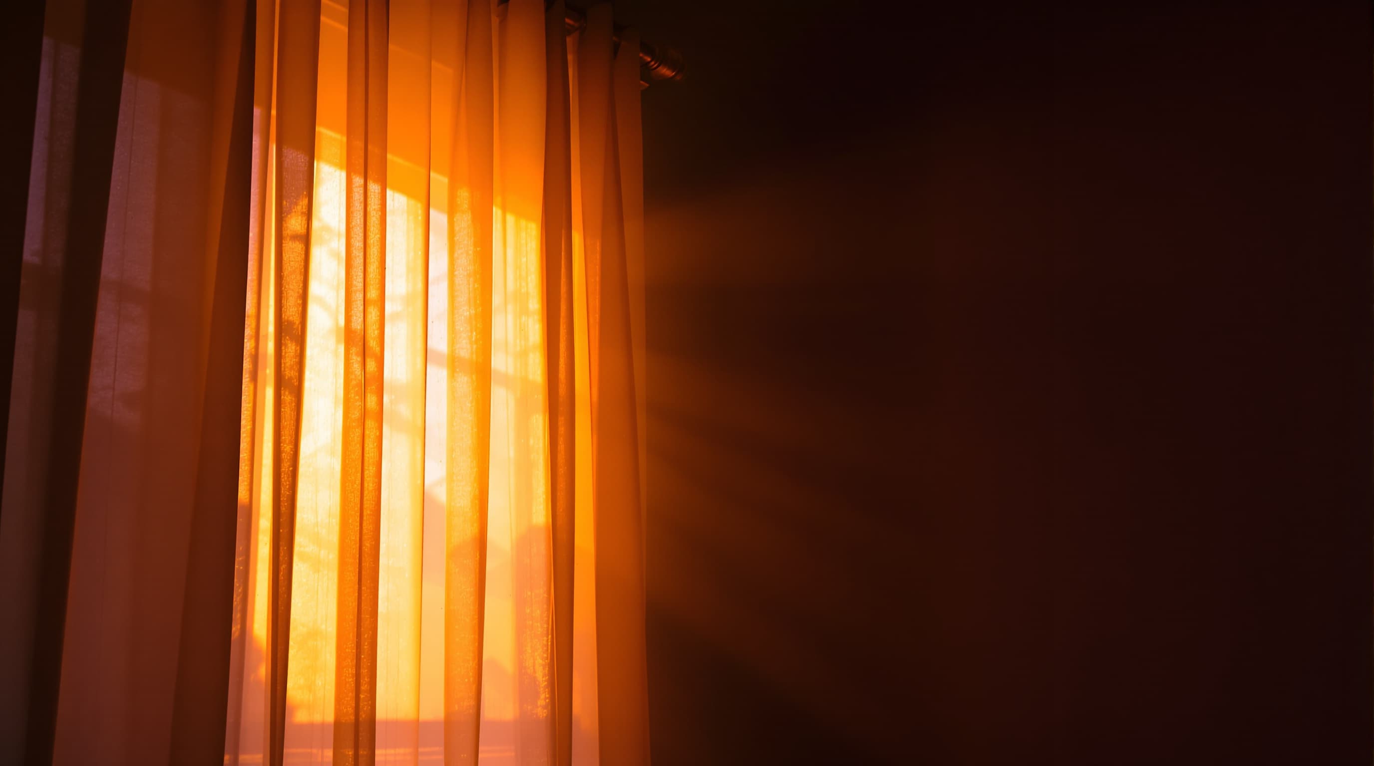 A furnished room, warm light falling across a rug