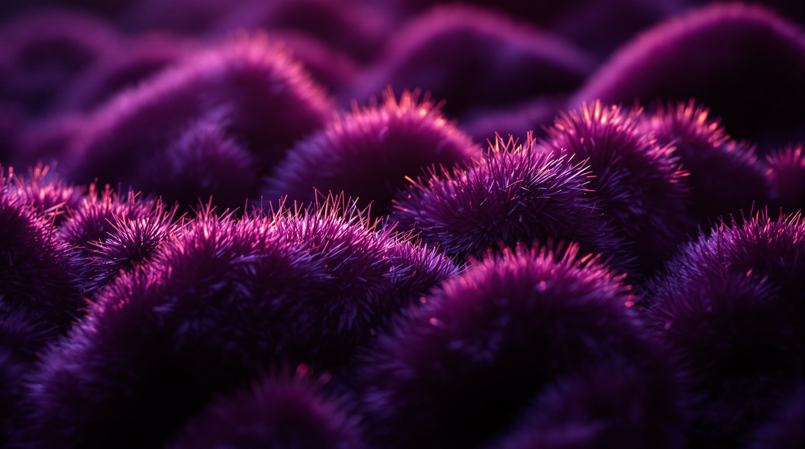 Close-up of velvet pile under raking light showing direction shift